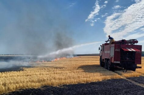 В период уборки запрещено выжигание стерни на полях