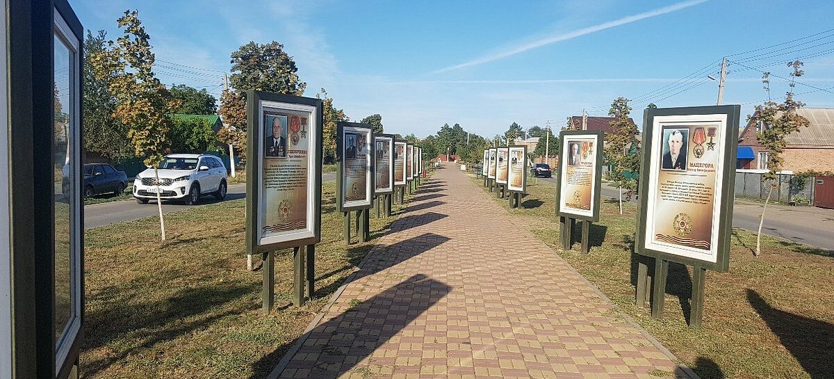 Илларион Есипенко: под его руководством в конезаводе имени Буденного вывели новые породы овец и лошадей