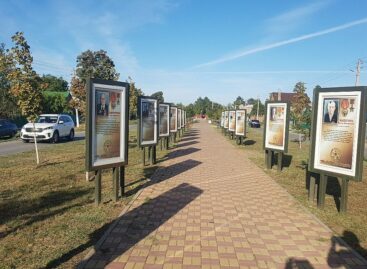 Илларион Есипенко: под его руководством в конезаводе имени Буденного вывели новые породы овец и лошадей