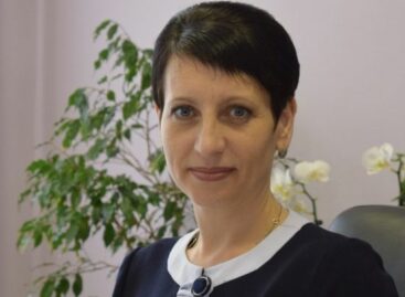 На какие выплаты могут рассчитывать сальские семьи?