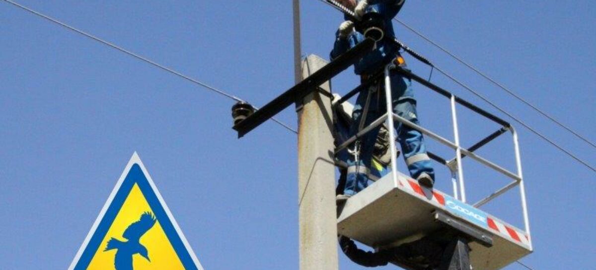 В Сальском районе специалисты «Россети Юг» установили устройства для защиты птиц