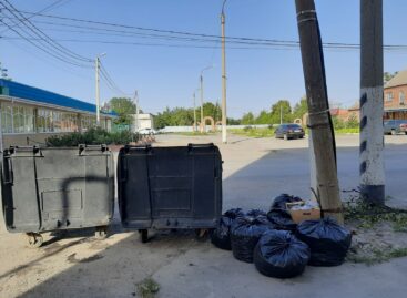 Сальчане интересуются, когда из центра города уберут мусорные баки