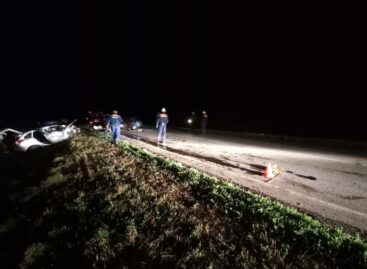 В аварии в Сальском районе погибли двое и ранены пять человек