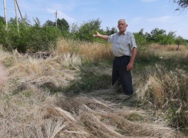 Жители Капустино в Сальске в очередной раз бьют тревогу по поводу проблем микрорайона