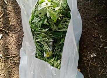 В Батайске транспортные полицейские изъяли у местного жителя более полукилограмма марихуаны