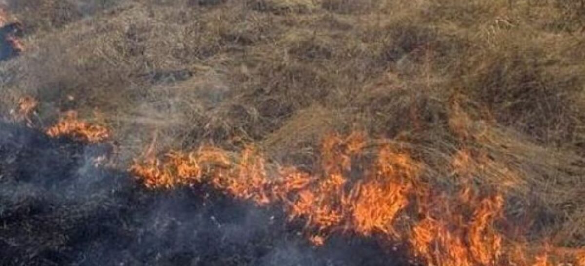 В Сальском районе огонь чуть не охватил сельское кладбище
