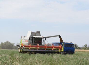 Урожайный год Псаревых: в хозяйстве под Загорьем получен рекордный за всю историю его существования урожай хлеба