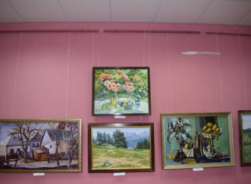 В канун Дня города в Сальском художественном музее им. В.К. Нечитайло открылась юбилейная, 65-я, выставка «Наш край степной».