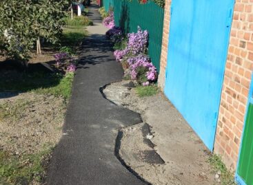 Сальчанин изуродовал новую тротуарную дорожку