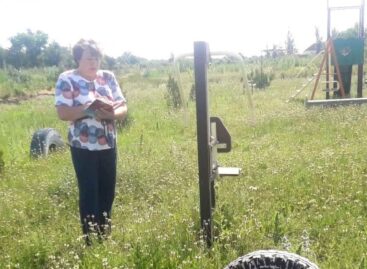 На Дону штрафы за непокос травы составили 1,3 млн рублей