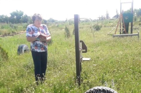 На Дону штрафы за непокос травы составили 1,3 млн рублей