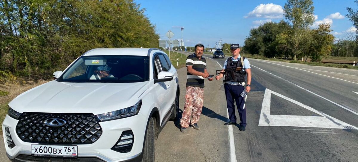 На дорогах Сальского района идёт декадник безопасности