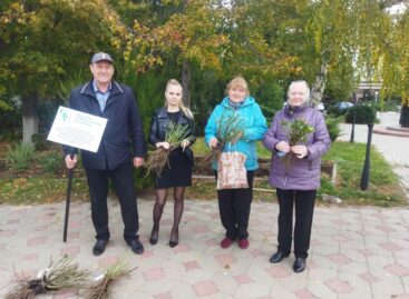 Площадь Юбилейную в Сальске украсили розы от КПК «Союз банковских служащих»
