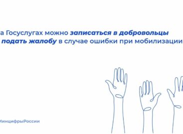 Дончане могут записаться в добровольцы через госуслуги