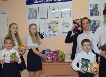 Волонтёрский отряд школы № 7 помогает пожилым людям, собирает корма для бездомных животных, и не только