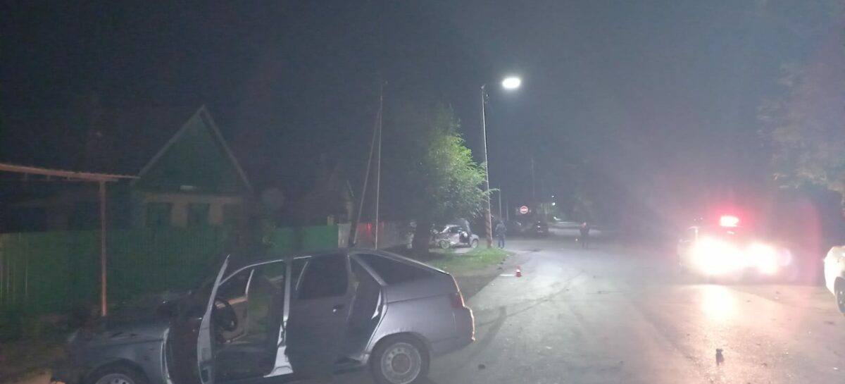 На ночной улице Ново-Сальска в аварии погиб 62-летний водитель