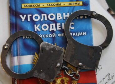 В Сальском районе на территории дач товарищества «Прогресс» совершена кража