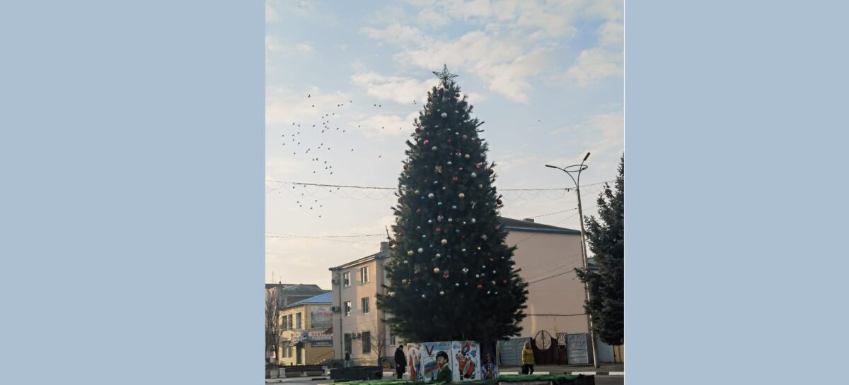 Вот-вот — и Новый год: Сальск и Гигант украсили новогодние красавицы