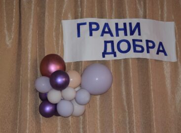 Волонтёры собрались на большой форум «Грани добра» в Доме пионеров и школьников в Сальске