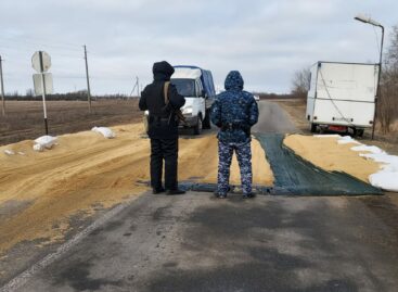 В Сальском районе обнаружен грипп птиц