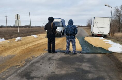В Сальском районе обнаружен грипп птиц