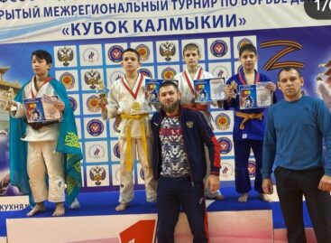 В городе Элиста состоялся открытый лично-командный межрегиональный турнир по дзюдо