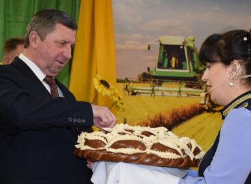 Праздник тружеников села: в Сальске чествовали лучших работников полей, ферм и  перерабатывающей отрасли
