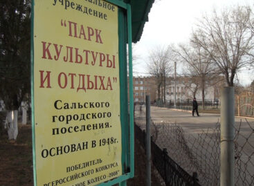 В теплице — лук, в шахматном клубе — новая крыша: директор   парка наводит порядок