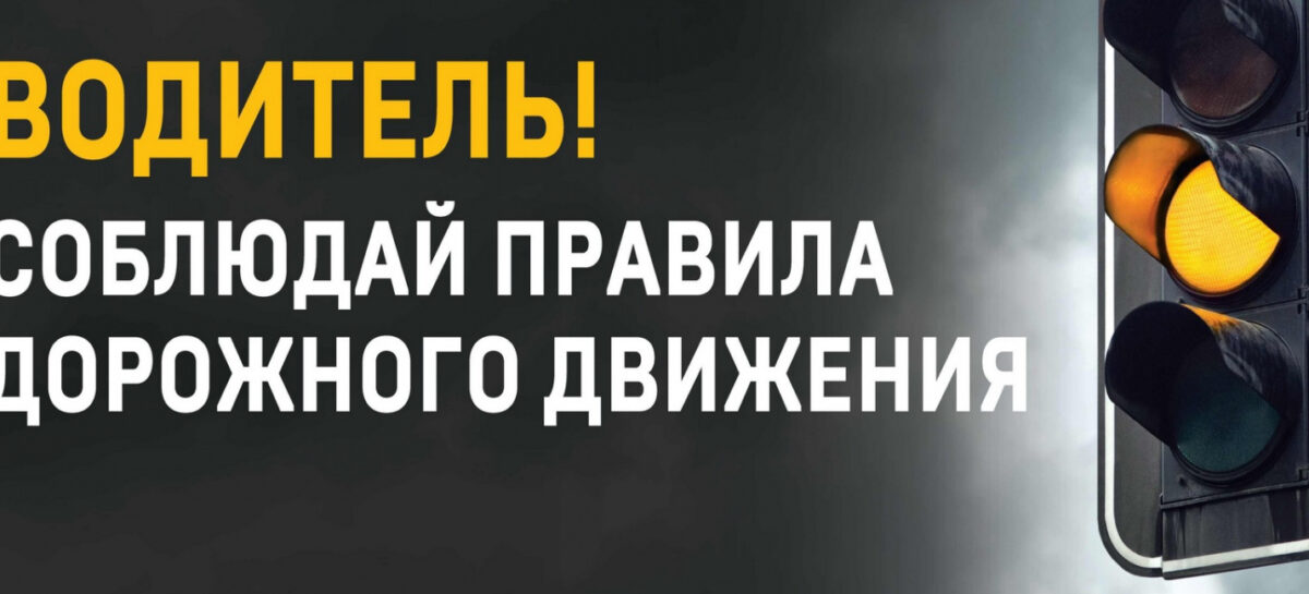 В Сальском районе идёт операция «Законопослушный водитель»