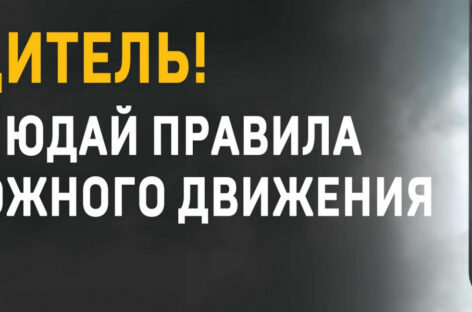 В Сальском районе идёт операция «Законопослушный водитель»