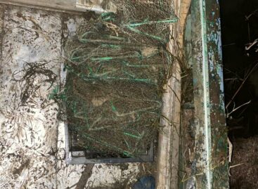 В акватории Пролетарского водохранилища транспортные полицейские пресекли незаконный вылов раков
