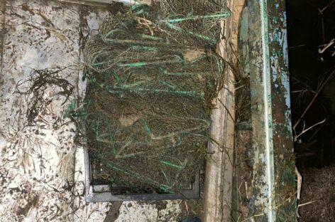 В акватории Пролетарского водохранилища транспортные полицейские пресекли незаконный вылов раков