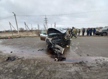 В Сальском районе полицейские устанавливают обстоятельства ДТП
