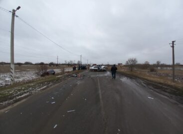 В Сальском районе произошла авария, в которой погибли два жителя Городовиковска