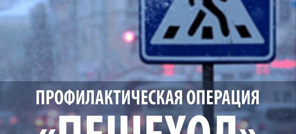 На дорогах Сальского района до 11 января проходит операция «Пешеход»