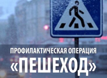 На дорогах Сальского района до 11 января проходит операция «Пешеход»