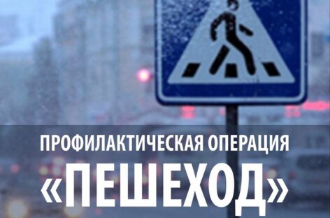 На дорогах Сальского района до 11 января проходит операция «Пешеход»