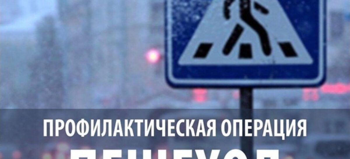 На дорогах Сальского района идёт операция «Пешеход»