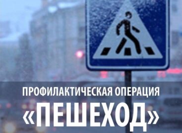 На дорогах Сальского района идёт операция «Пешеход»