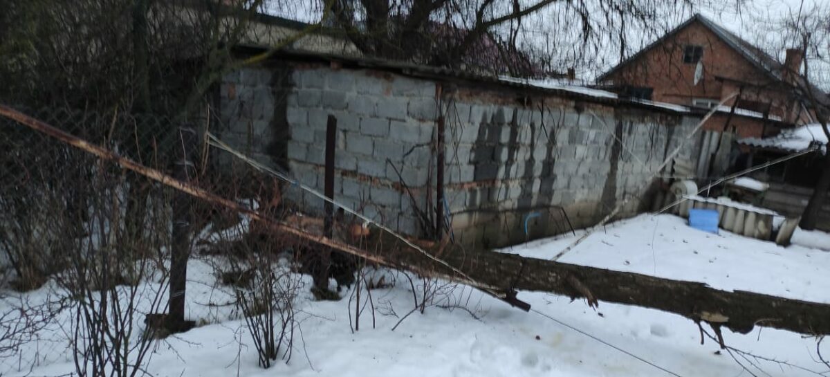 В Сальске ветер свалил дерево на трубу газопровода