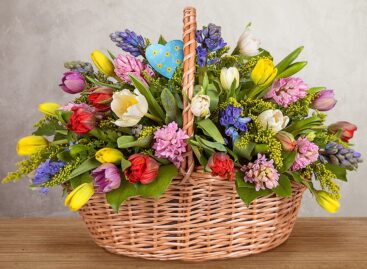 Цветы для февральских именинниц