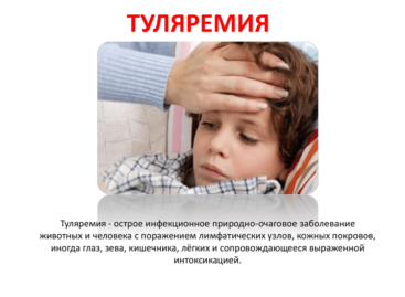 Сальчанам напомнили об опасном заболевании — туляремии