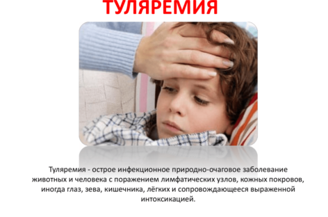 Сальчанам напомнили об опасном заболевании — туляремии