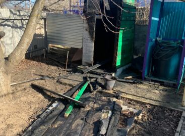 Из-за пожара сальчанка осталась без уличного туалета