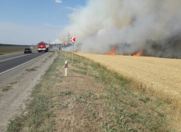 Сальчанам напомнили, как вести себя в наступающем пожароопасном сезоне