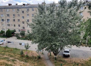Личные данные из ЕГРН можно будет получить только с согласия собственника недвижимости