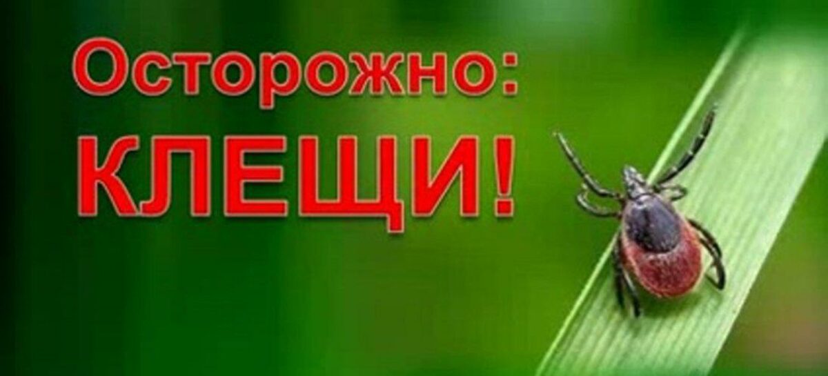 Жителям Сальского района напомнили, как защититься от крымской геморрагической лихорадки