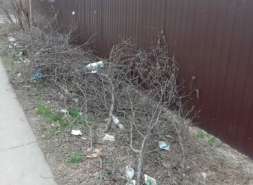 Угол улиц Победы и 9 Января в Сальске превращается в мусорную свалку