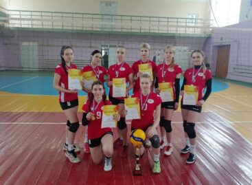 Выиграли сальчане: в Целине и Приречном прошли волейбольные  турниры, приуроченные ко Всемирному дню здоровья