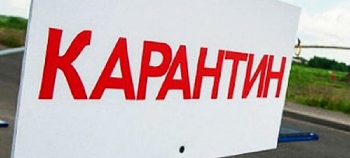 В двух личных подсобных хозяйствах Сальского района введён карантин по бруцеллёзу
